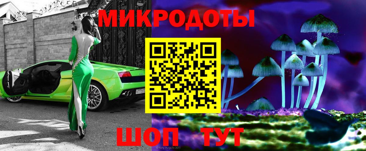 Галлюциногенные грибы Cubensis Новосибирск